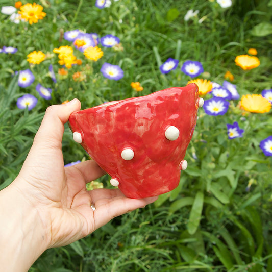 Fly Agaric Bowl, 350ml