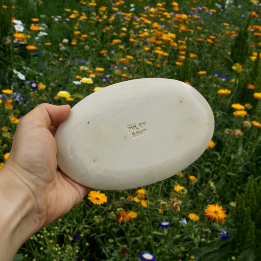 Miniature plate